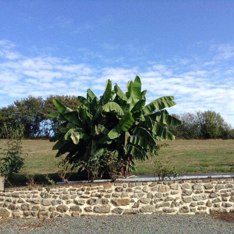 Gite Chouchou Izé Exterior photo